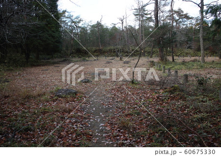 紫香楽宮跡 紫香楽宮跡 60675330