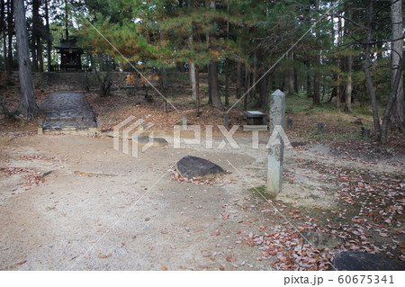 紫香楽宮跡 紫香楽宮跡 60675341