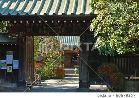 川越散歩:長喜院 曹洞宗 川越散歩:長喜院 曹洞宗 60679357