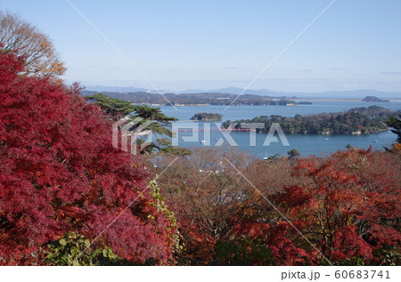 西行戻しの松から望む秋の松島 西行戻しの松から望む秋の松島 60683741