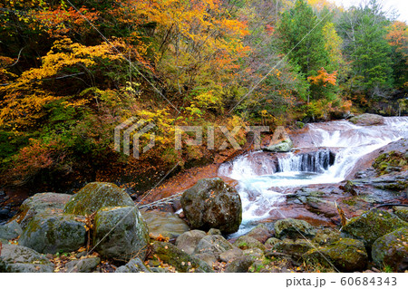 秋のおしどり隠しの滝の周辺の風景 60684343