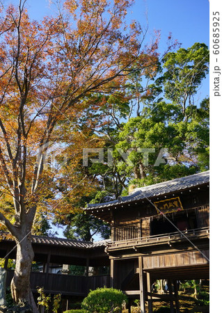 千葉県 中山法華経寺 秋 千葉県 中山法華経寺 秋 60685925