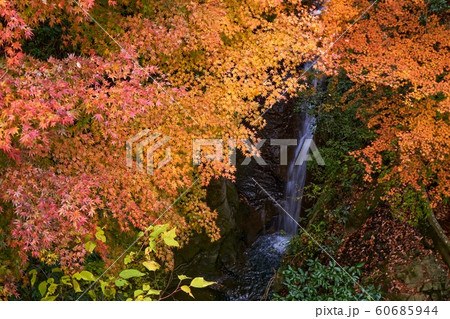 千葉県　地蔵堂の滝と紅葉　富津市 60685944
