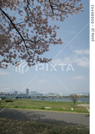 淀川河川公園~長柄地区~ 淀川河川公園~長柄地区~ 60686443