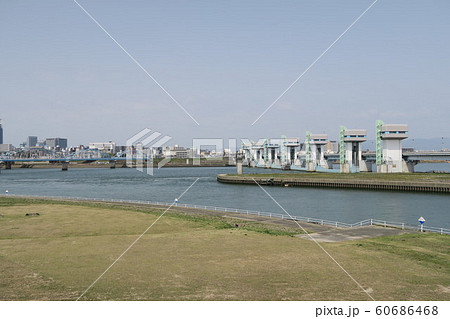 淀川河川公園~長柄地区~ 淀川河川公園~長柄地区~ 60686468