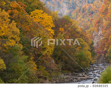 定山渓　紅葉 60686505