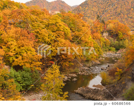 定山渓 紅葉 定山渓 紅葉 60686566