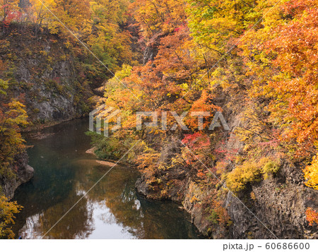 定山渓 紅葉 定山渓 紅葉 60686600