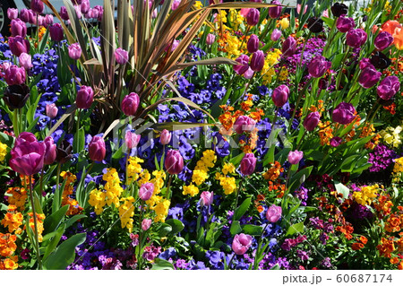 春の訪れ 春の訪れ 60687174