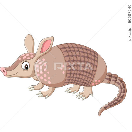 Cartoon armadillo on white background Cartoon armadillo on white background 60687240