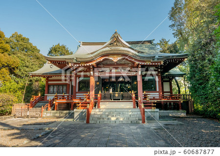 東京都武蔵野市吉祥寺の武蔵野八幡宮 60687877