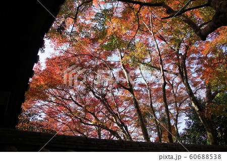 瑞泉寺 Zuisenji temple 瑞泉寺 Zuisenji temple 60688538