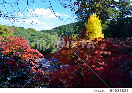 永勝寺の紅葉 永勝寺の紅葉 60688821