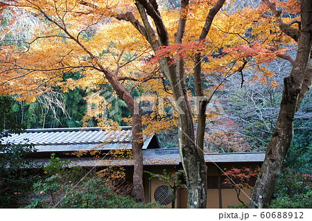 瑞泉寺 Zuisenji temple 瑞泉寺 Zuisenji temple 60688912