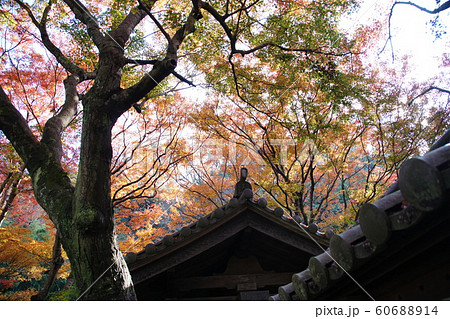 瑞泉寺 Zuisenji temple 瑞泉寺 Zuisenji temple 60688914