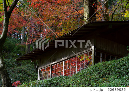 大興善寺の紅葉 60689026