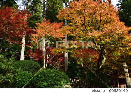 大興善寺の紅葉 60689149