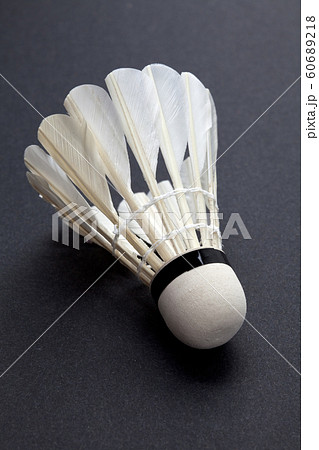 Badminton 60689218