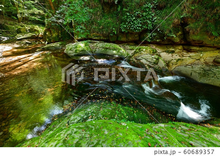 赤目四十八滝　初夏の渓流の情景＠三重県 60689357