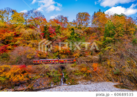 わたらせ渓谷鉄道・トロッコ列車 わたらせ渓谷鉄道・トロッコ列車 60689535