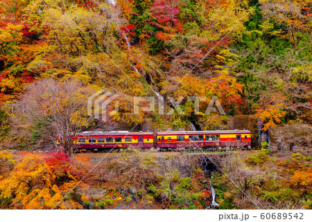 わたらせ渓谷鉄道・トロッコ列車 60689542