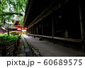 神社の荘厳な雰囲気（横画像） 60689575
