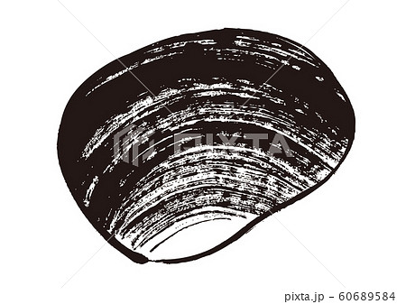 北寄貝 水彩画 北寄貝 水彩画 60689584