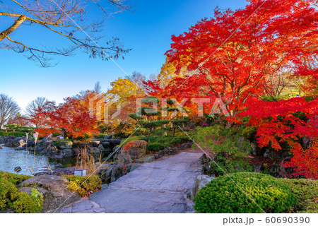 桜山公園の紅葉 群馬県藤岡市 の写真素材