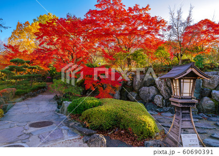 桜山公園の紅葉【群馬県藤岡市】 60690391