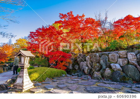 桜山公園の紅葉【群馬県藤岡市】 桜山公園の紅葉【群馬県藤岡市】 60690396
