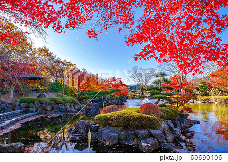 桜山公園の紅葉 群馬県藤岡市 の写真素材