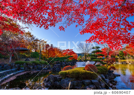 桜山公園の紅葉【群馬県藤岡市】 桜山公園の紅葉【群馬県藤岡市】 60690407