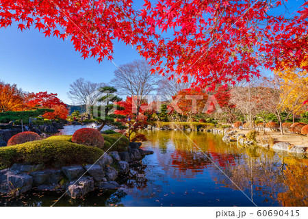 桜山公園の紅葉 群馬県藤岡市 の写真素材