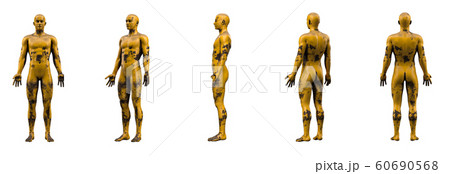 3d rendering illustration of yellow metal human anatomy 60690568