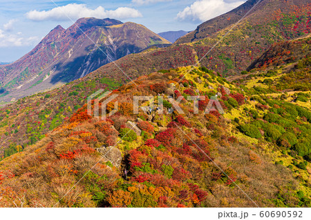 絶景 秋の九重連山 紅葉 絶景 秋の九重連山 紅葉 60690592
