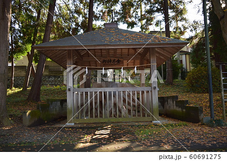 御霊神社 御神木 御霊神社 御神木 60691275