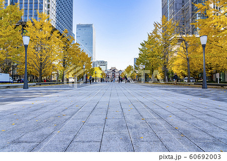 【東京都】東京駅　駅前風景　黄葉 60692003