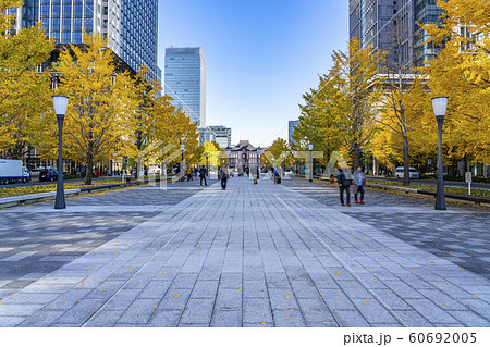 【東京都】東京駅 駅前風景 黄葉 【東京都】東京駅 駅前風景 黄葉 60692005