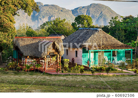 The Vinales valley in Cuba is a major tobacco growing area 60692506