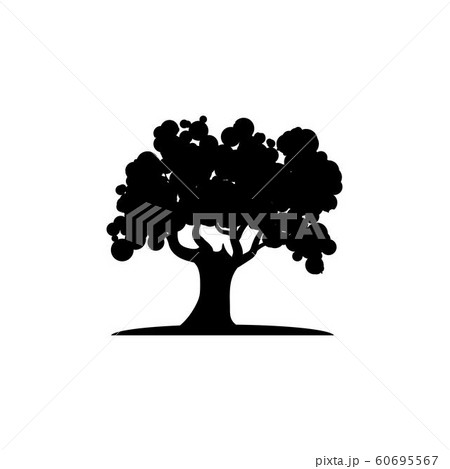 Oak Tree icon Vector Illustration design Logo 60695567
