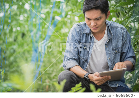 smart farmer using technology in an agriculture smart farmer using technology in an agriculture 60696007