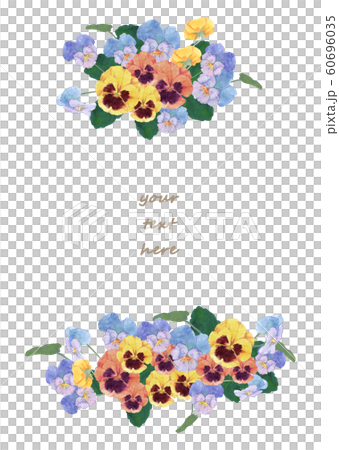 三色堇和中提琴水彩 60696035