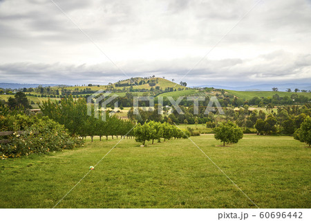 Landscape 60696442