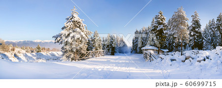 Ski resort Bansko, Bulgaria, slope panorama Ski resort Bansko, Bulgaria, slope panorama 60699715