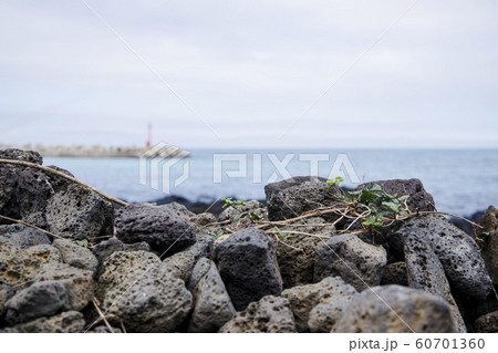 Beautiful island landscape of Jeju, Korea 091 60701360