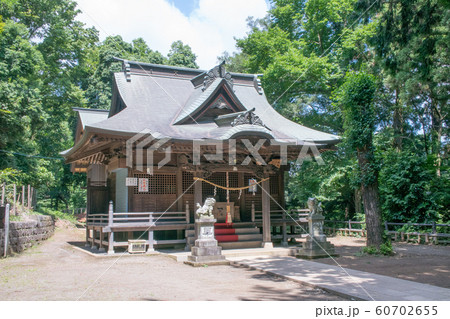 東京都　八王子市　片倉城跡公園　住吉神社 60702655