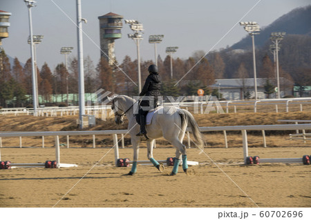 競馬 レース 果川市 60702696