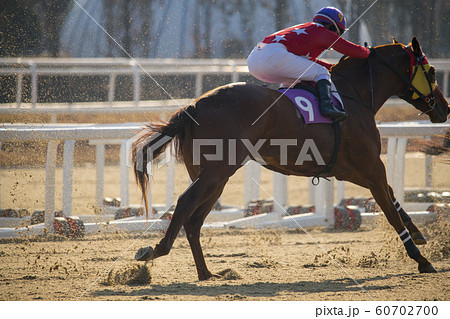 競馬 レース ランニング 60702700