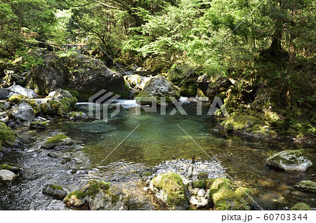 【岐阜県】円原川 60703344