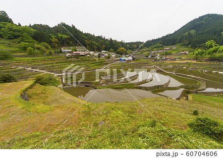 棚田 60704606